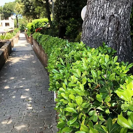 Confortevole Bilocale Giardino Doppio Parcheggio アパート