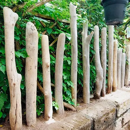 Confortevole Bilocale Giardino Doppio Parcheggio アパート *